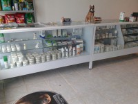 /album/veterinariaelejido/a2012-07-11-17-56-04-jpg/